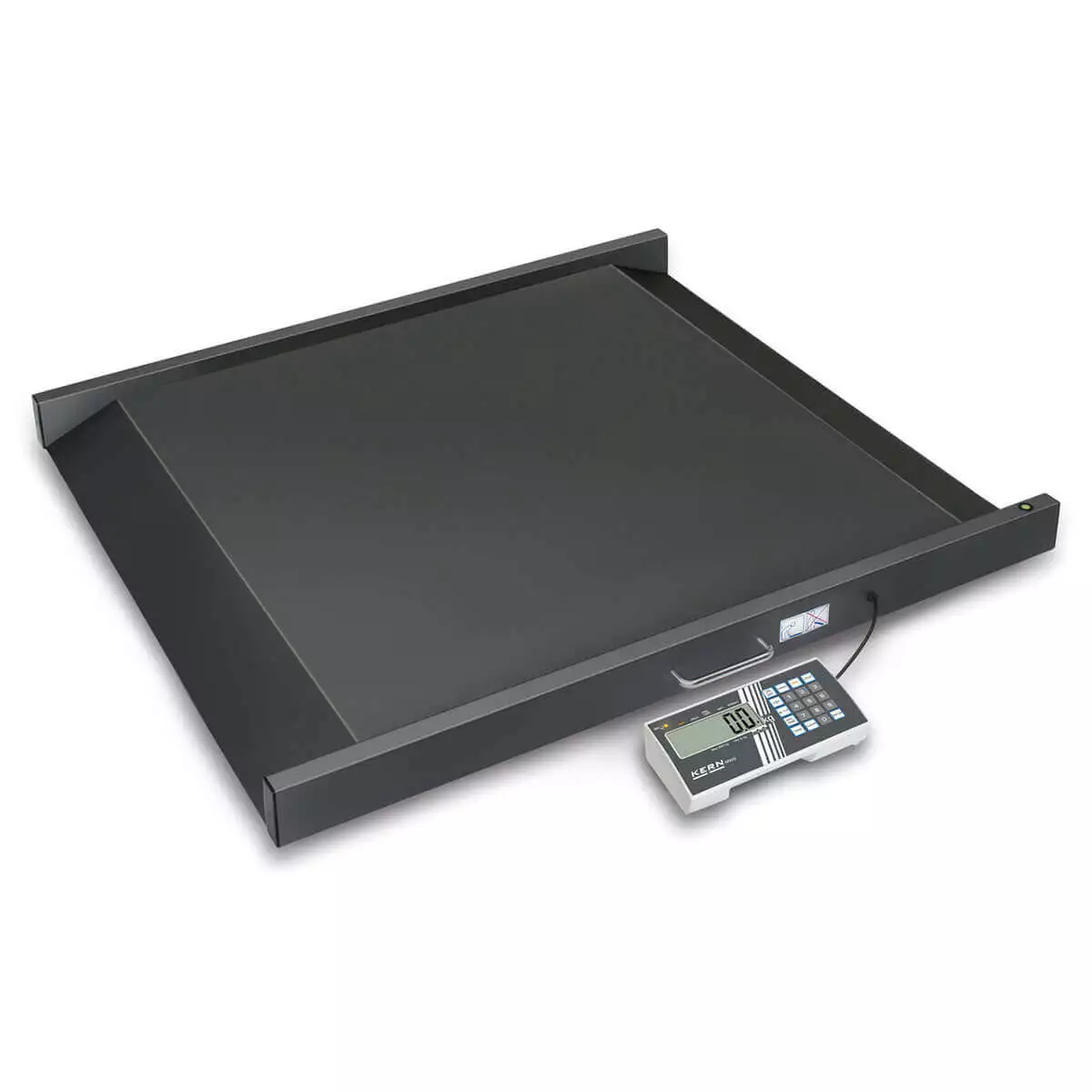  MWS wheelchair scale