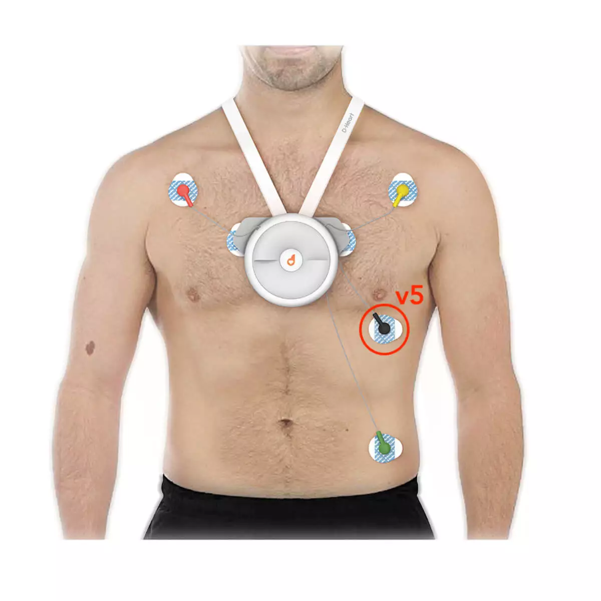  D-Heart: Mobile 8- & 12-channel ECG device