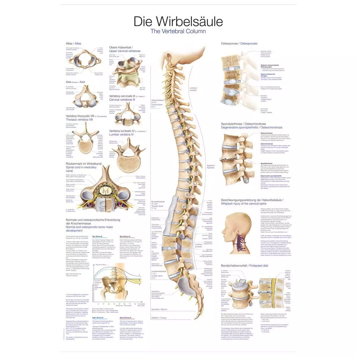  Instructional panel - The spine