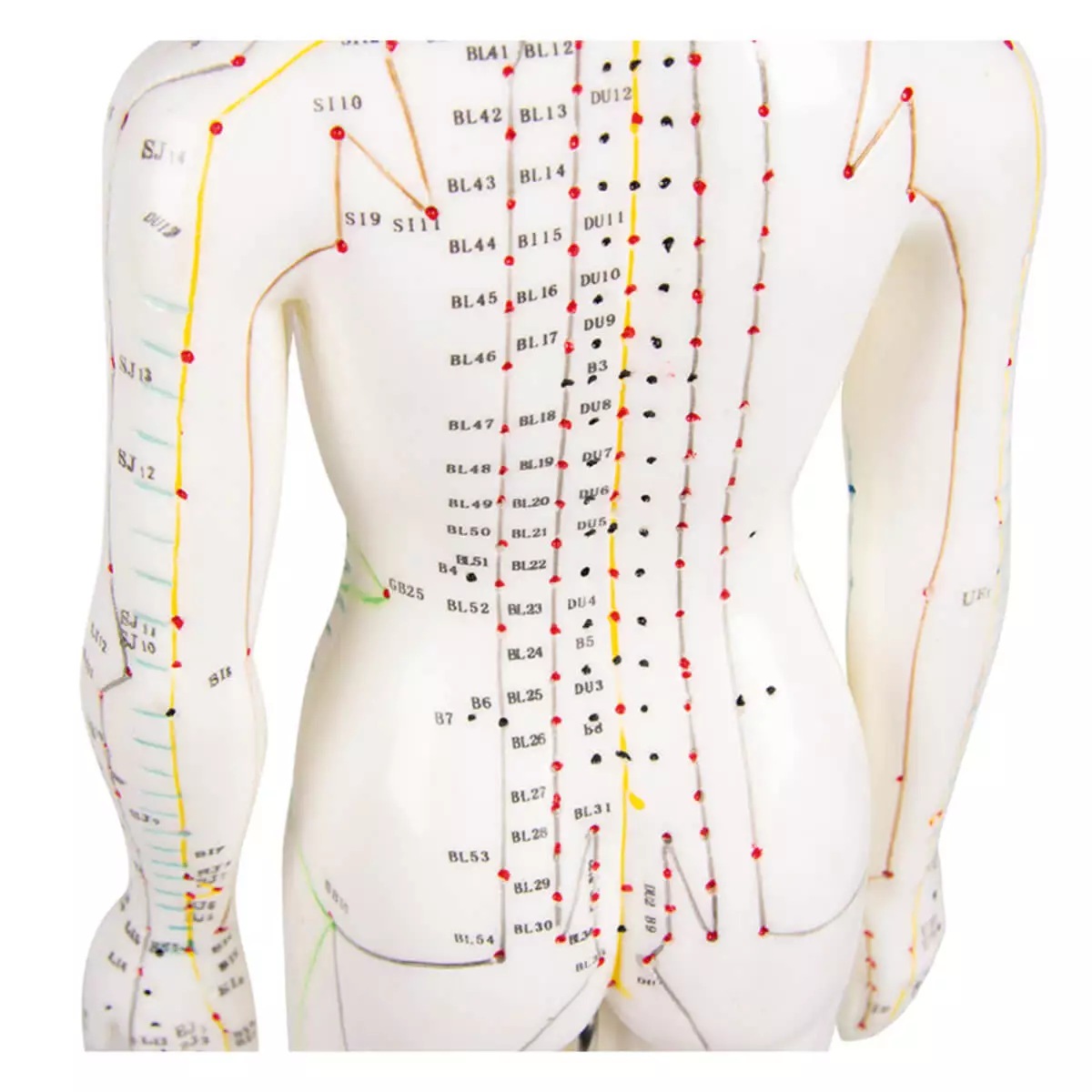  Acupuncture figure