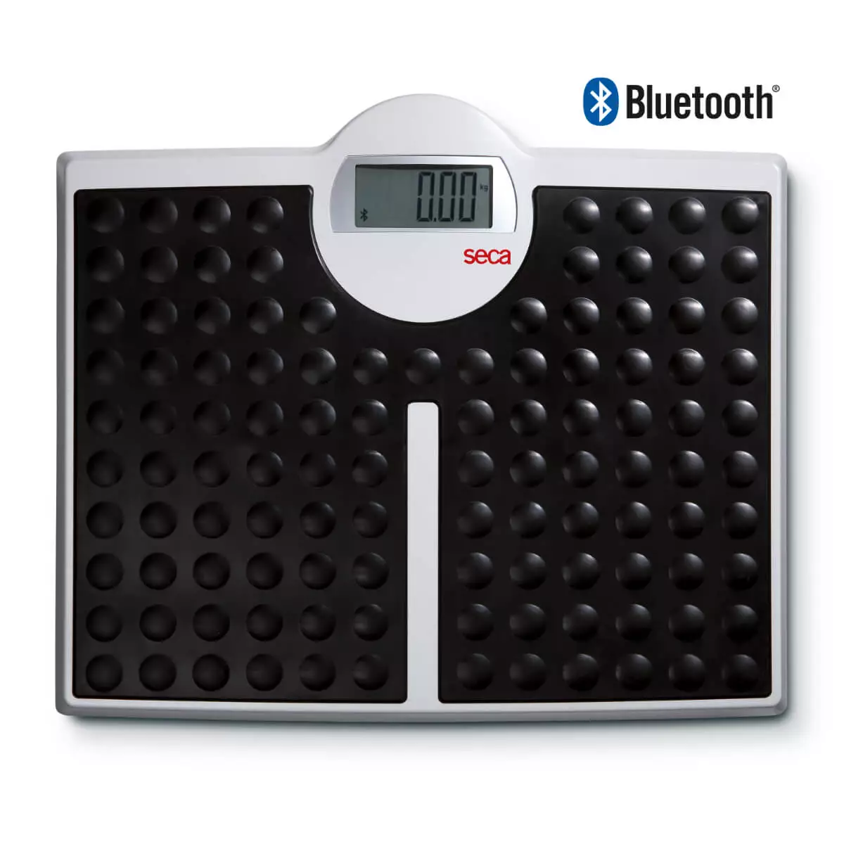  813 personal scale
