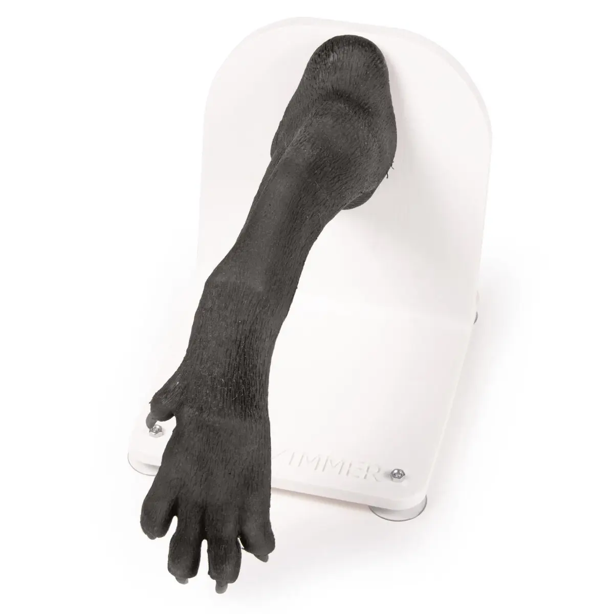 Bandaging trainer – dog paw Bandaging trainer – dog paw
