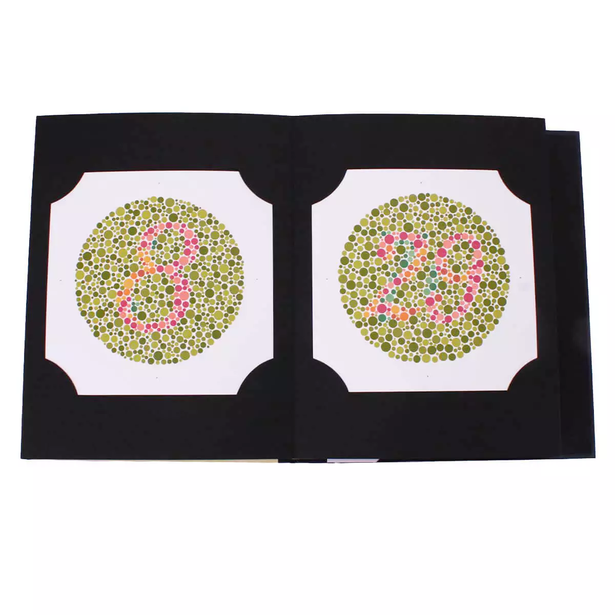  Ishihara color plates
