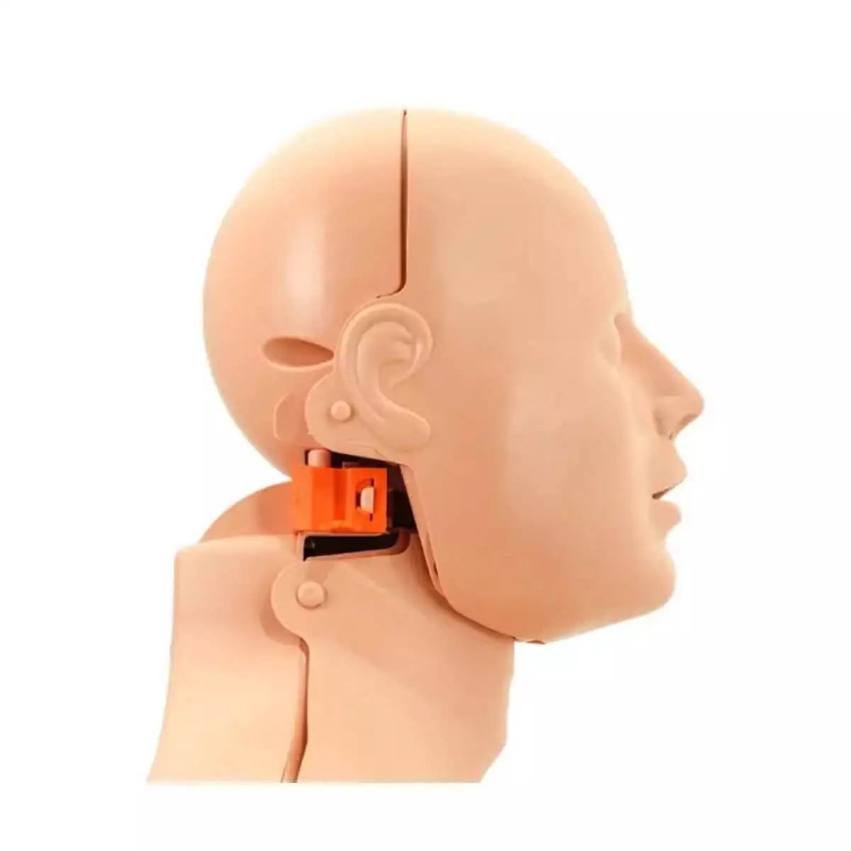  Practi-Man 2-in-1 resuscitation dummy