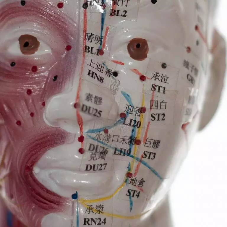 Acupuncture model man Acupuncture model man