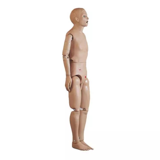  Nursing mannequin base male