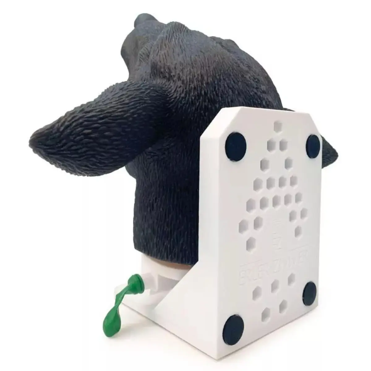  Intubation practicing head – dog