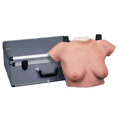  Breast palpation model
