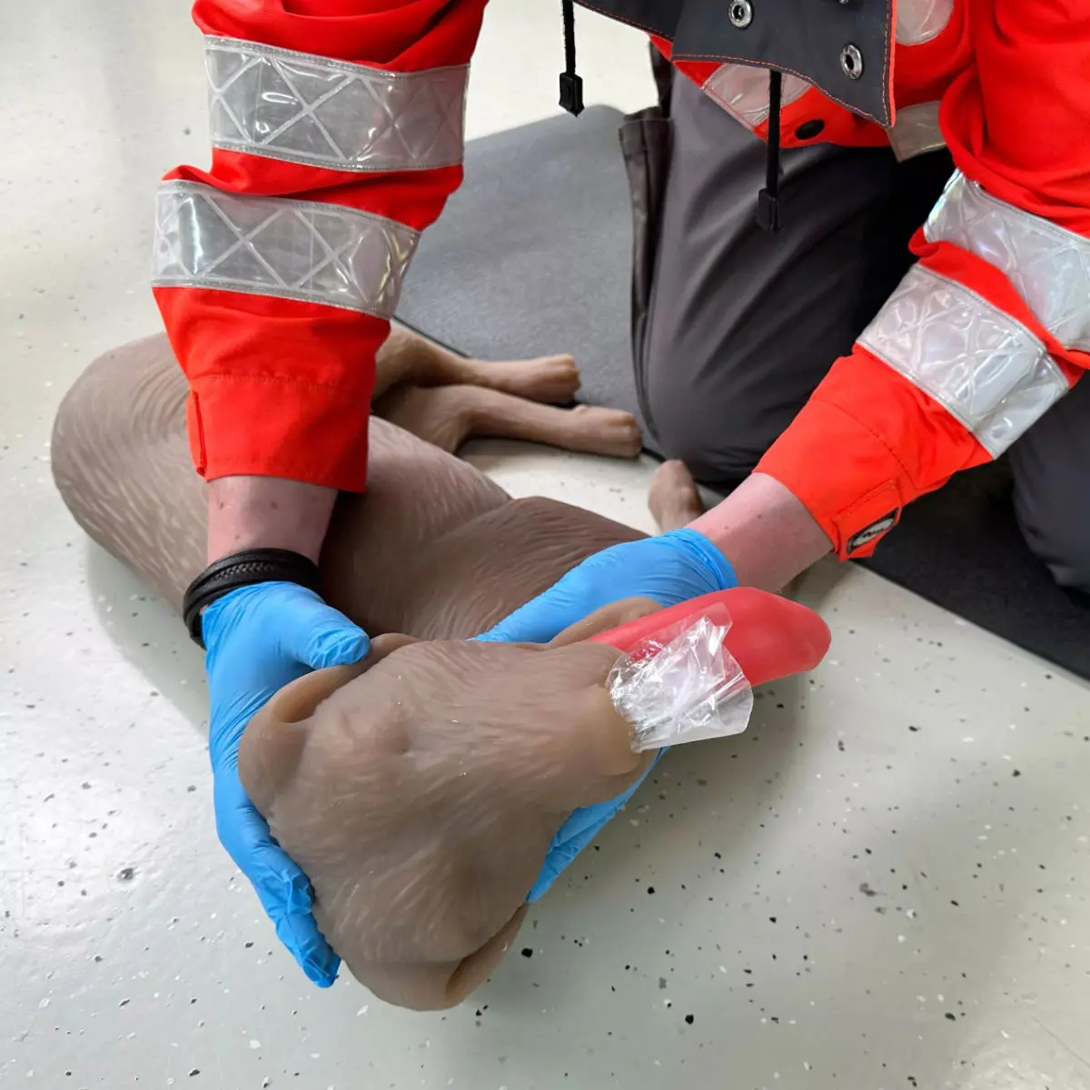  “CooPeR” canine CPR training manikin