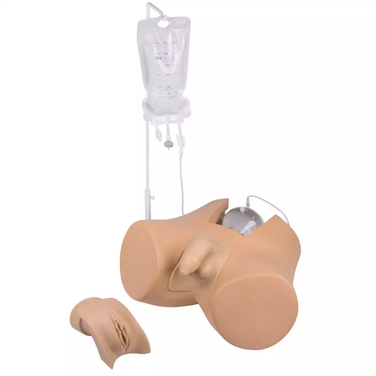  Catheterization model with genitalia inserts