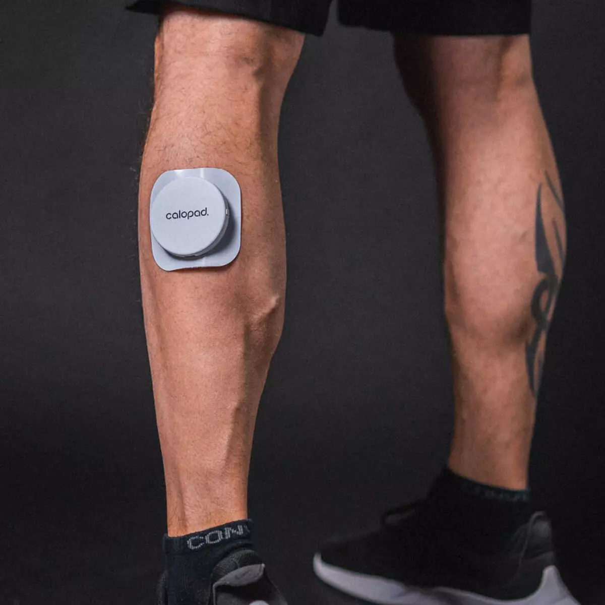  Calopad deep heat plaster