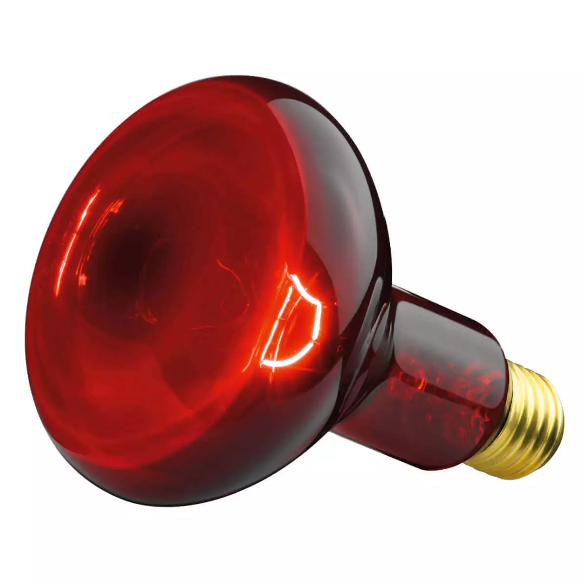  Replacement lamp for IL 11