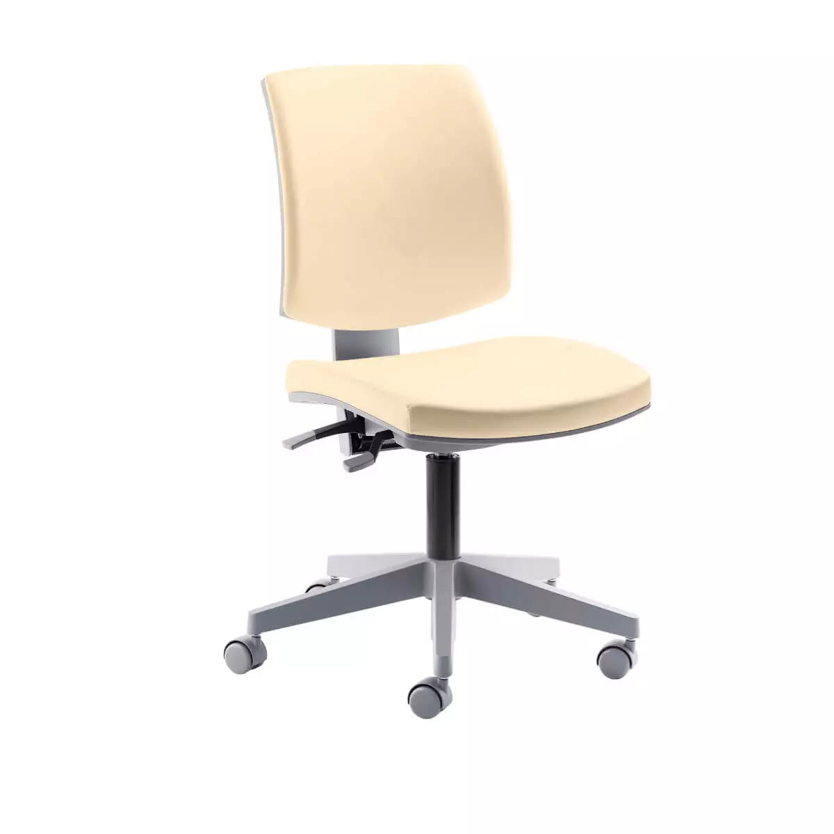 myFlexo swivel chair myFlexo swivel chair