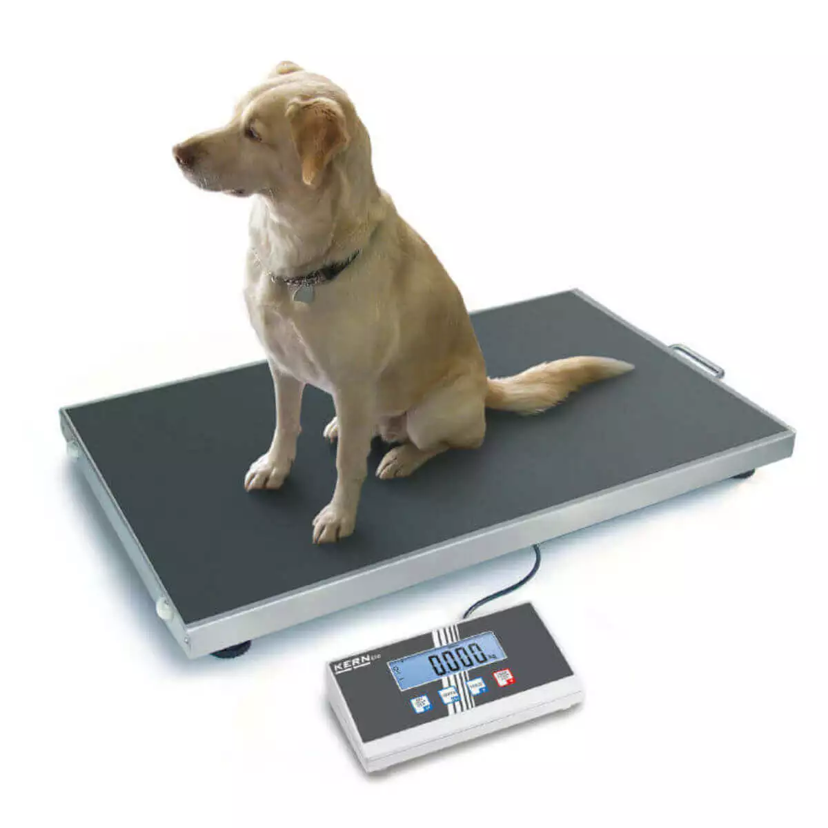  EOS Veterinary Scale