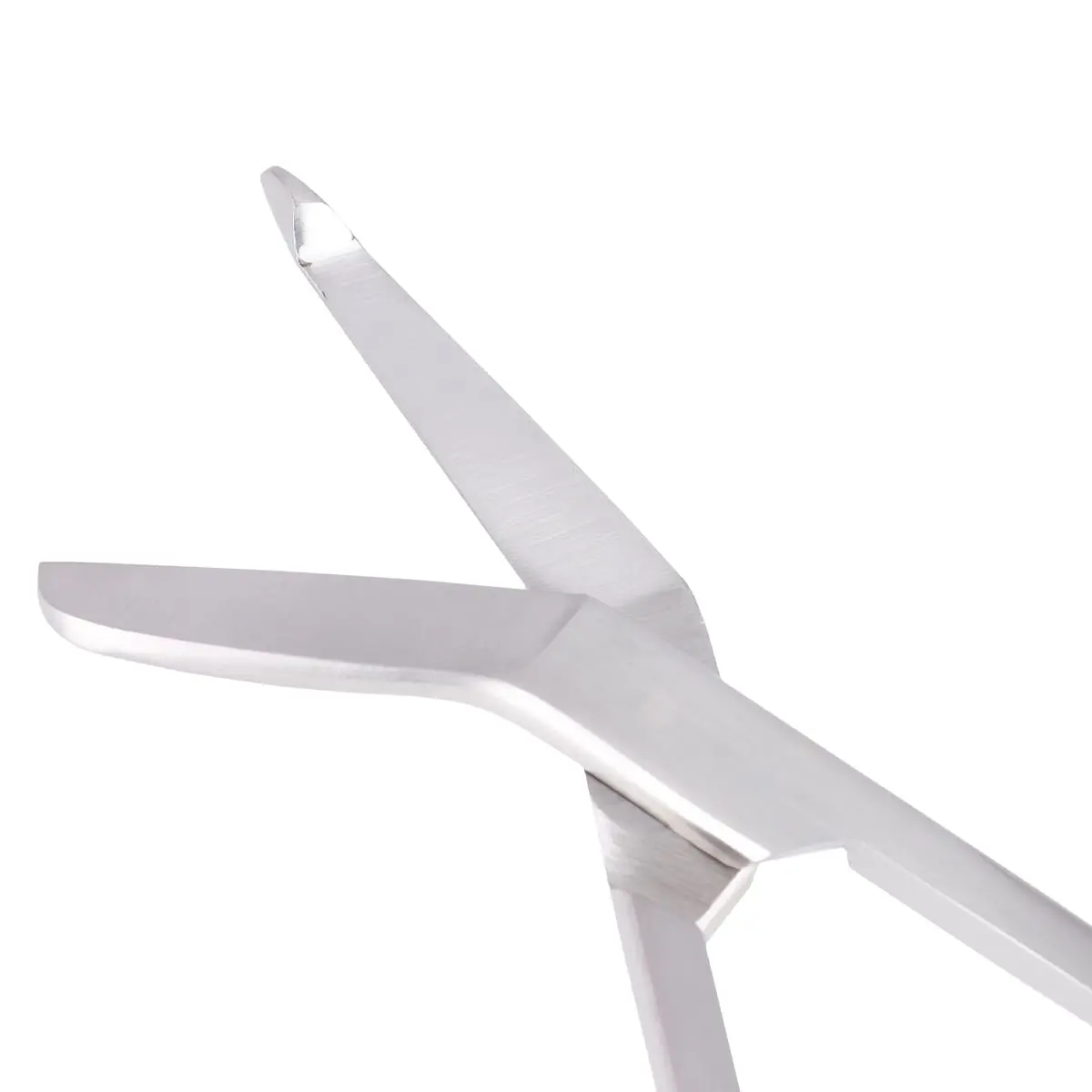 Bandage Scissors, Lister-style Bandage Scissors, Lister-style