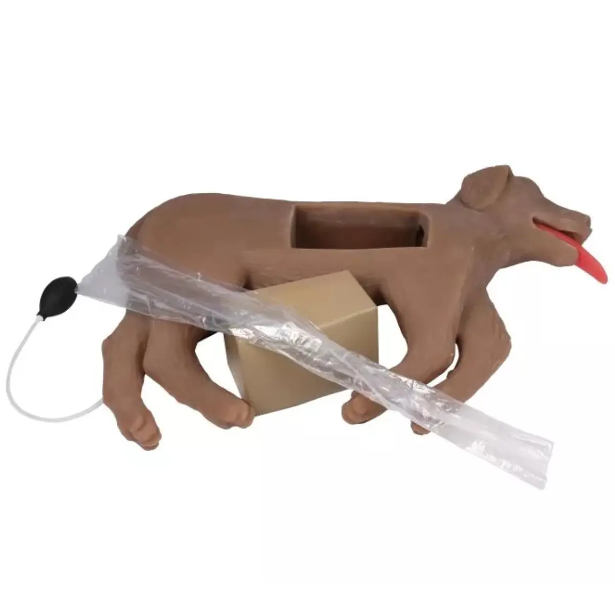  “CooPeR” canine CPR training manikin