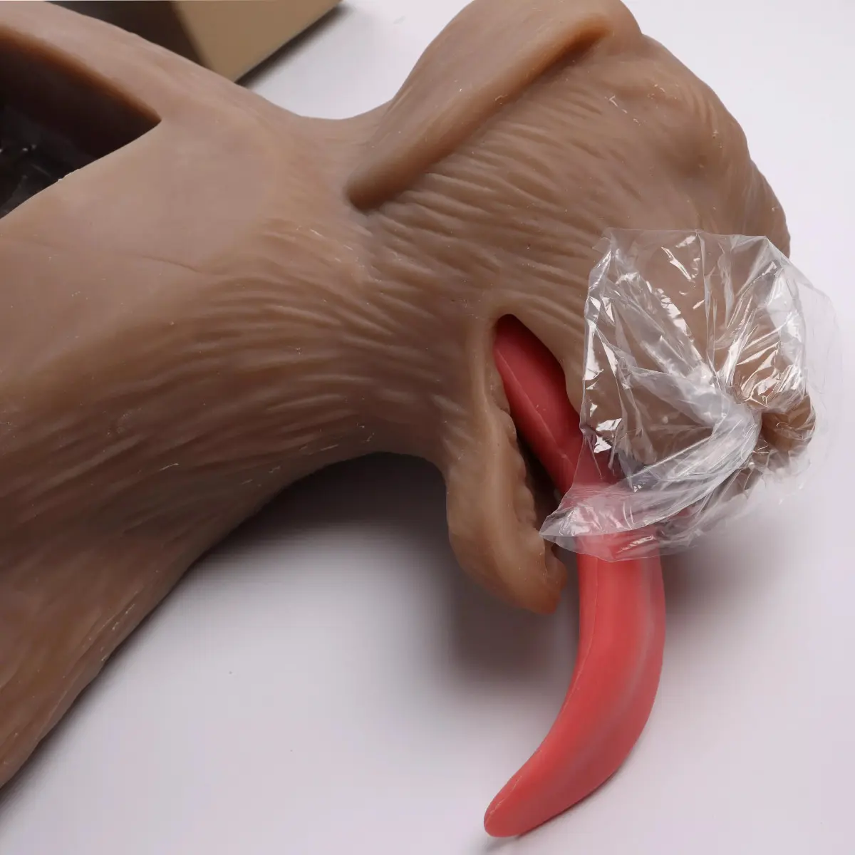  “CooPeR” canine CPR training manikin