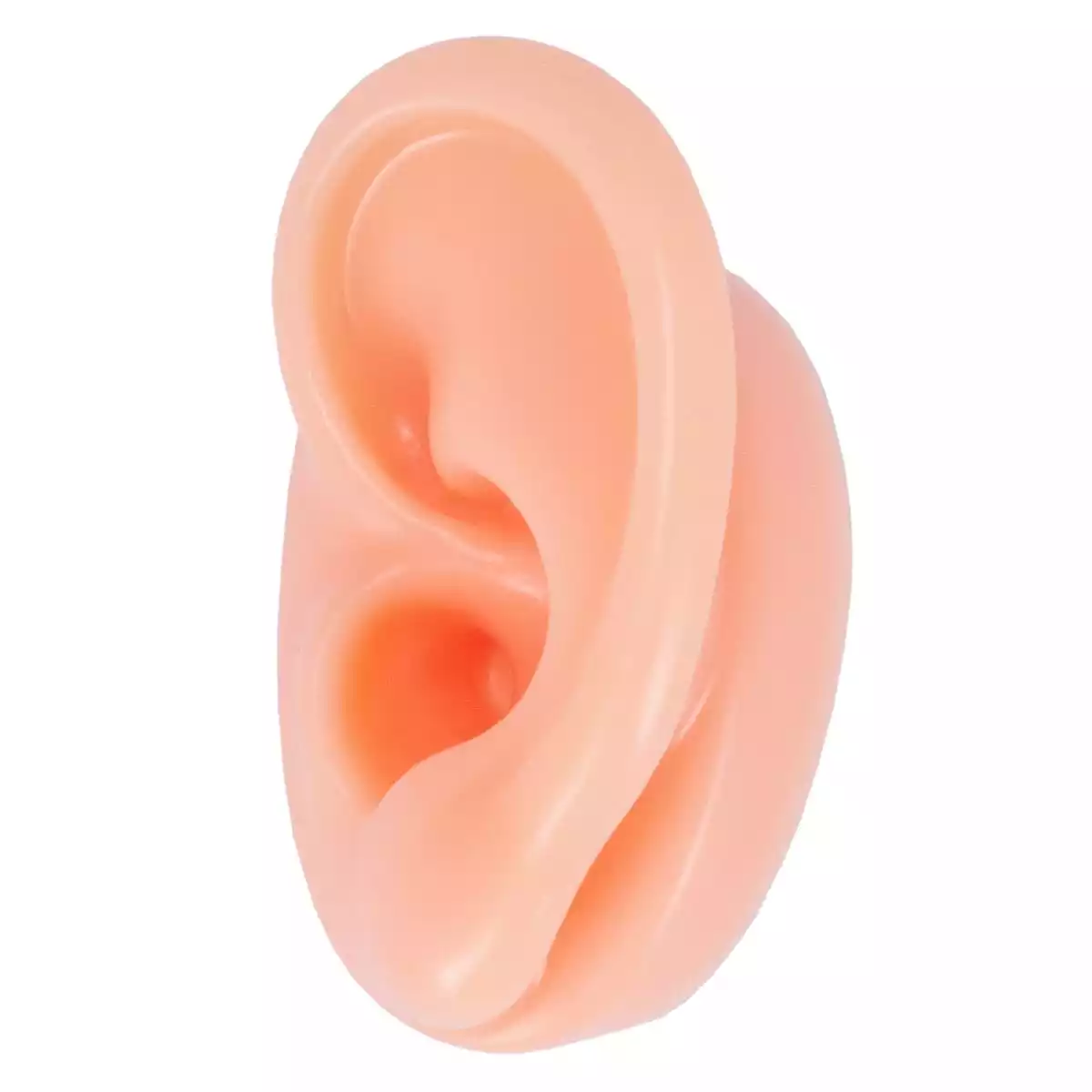 Acupuncture practice ear  Acupuncture practice ear