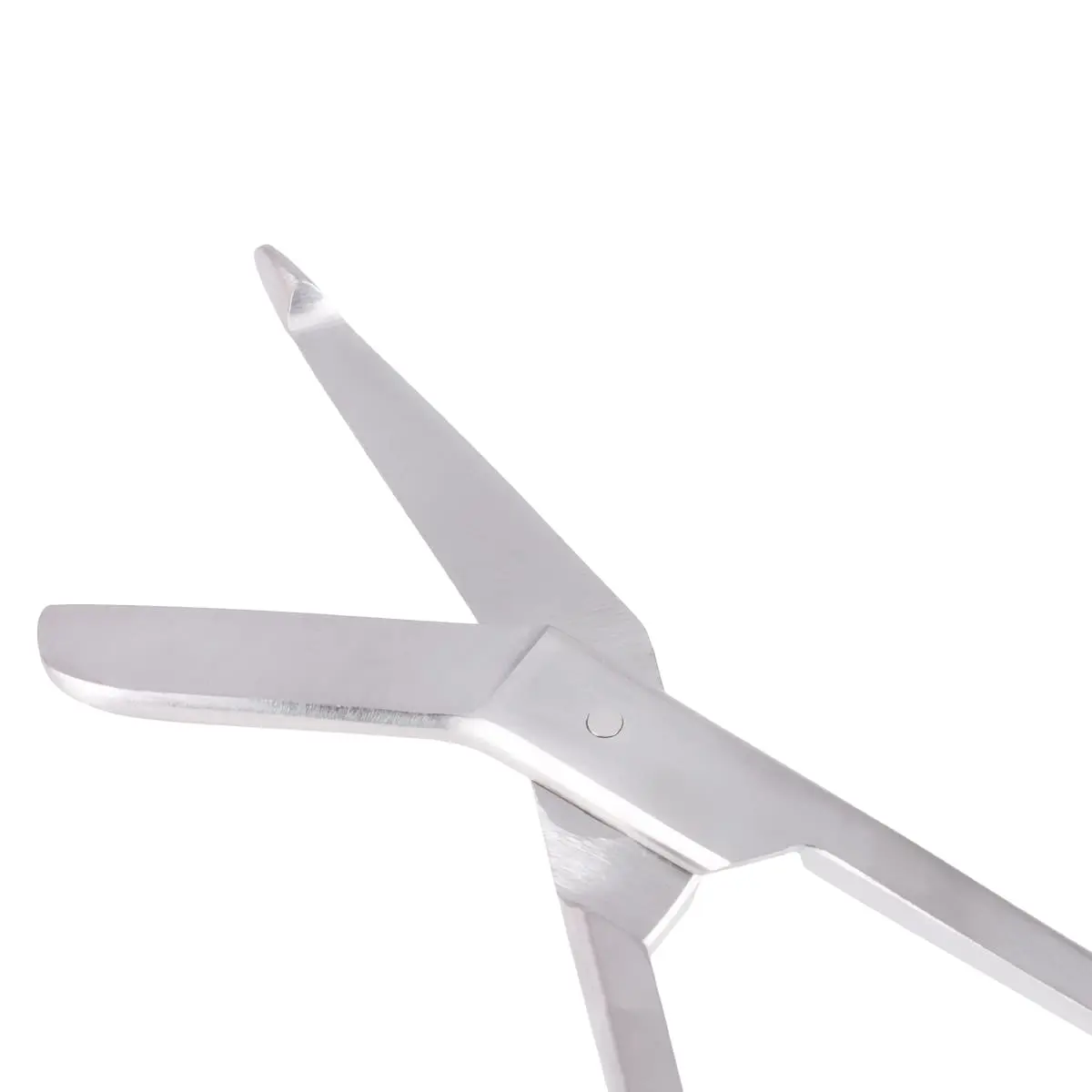  Lister bandage scissors