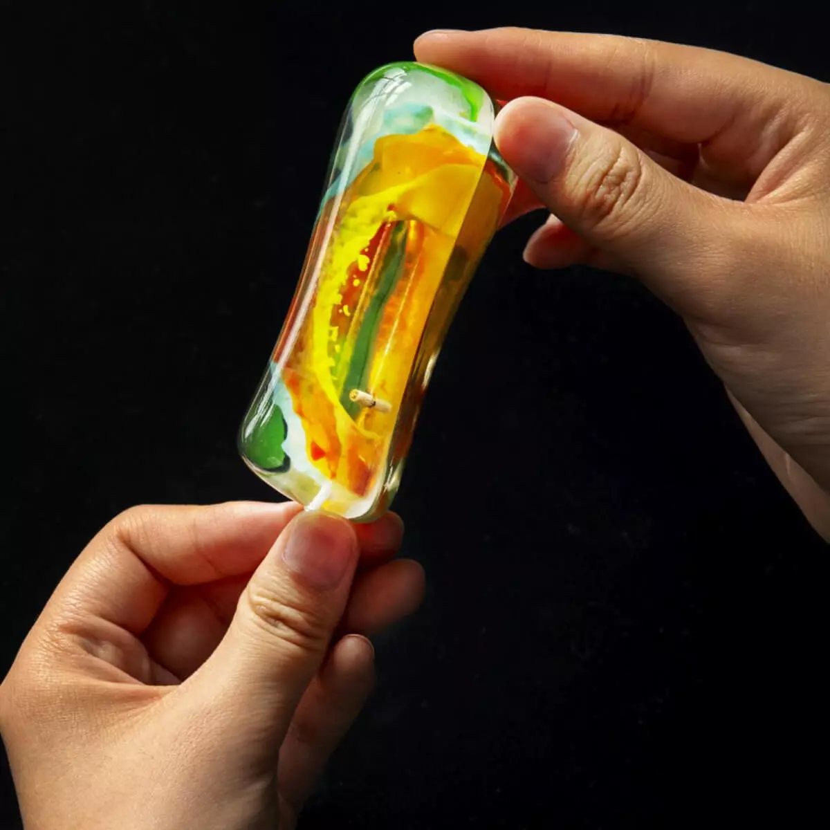 Carnegie stage embryo models Carnegie stage embryo models