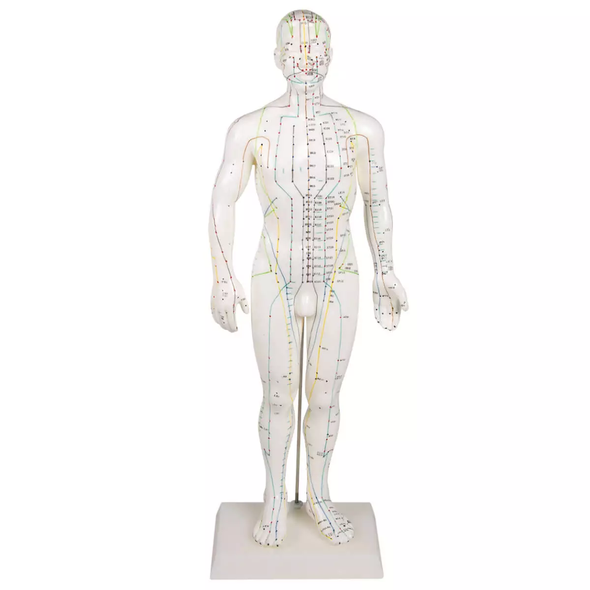  Acupuncture figure