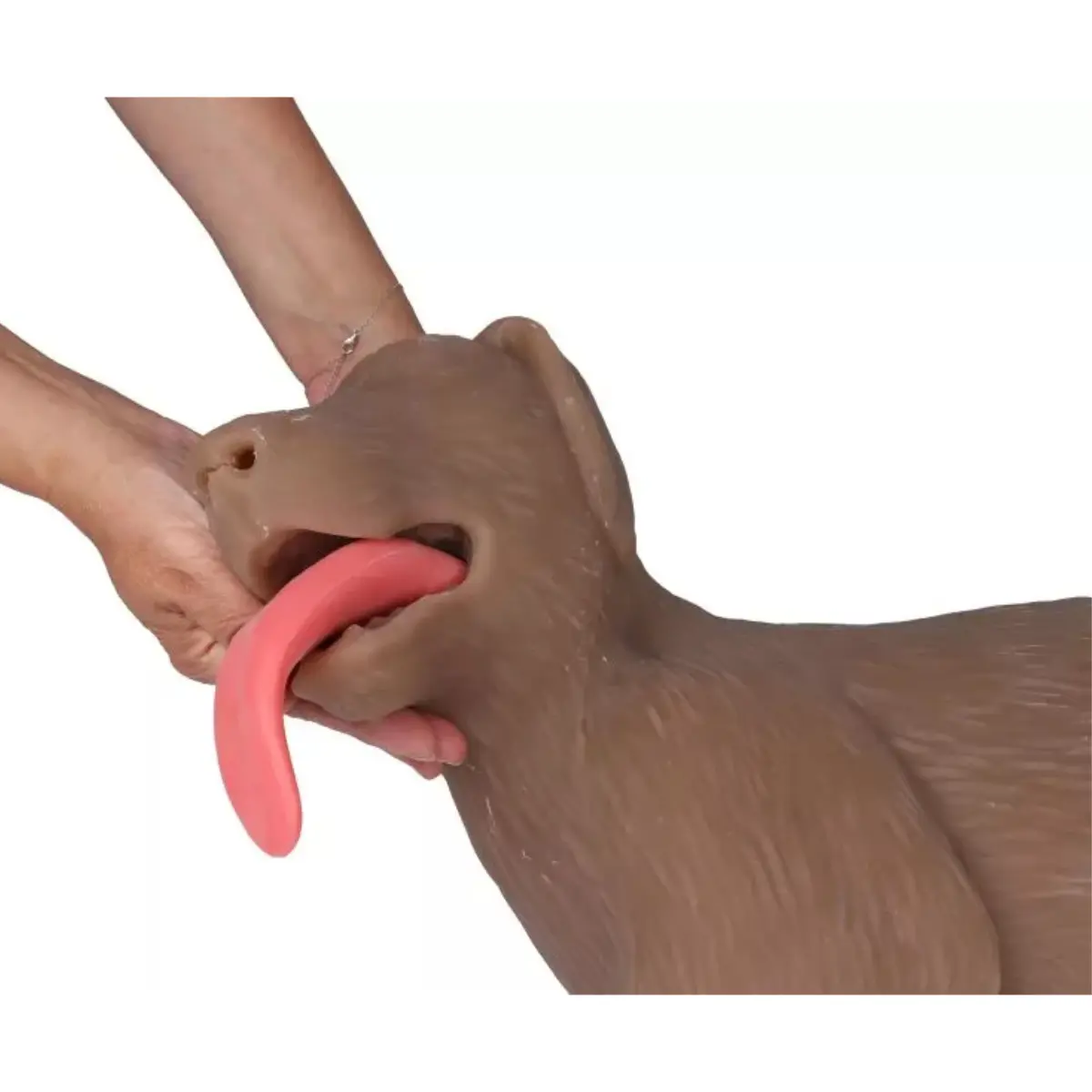  “CooPeR” canine CPR training manikin