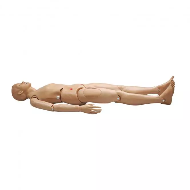  Nursing mannequin base male