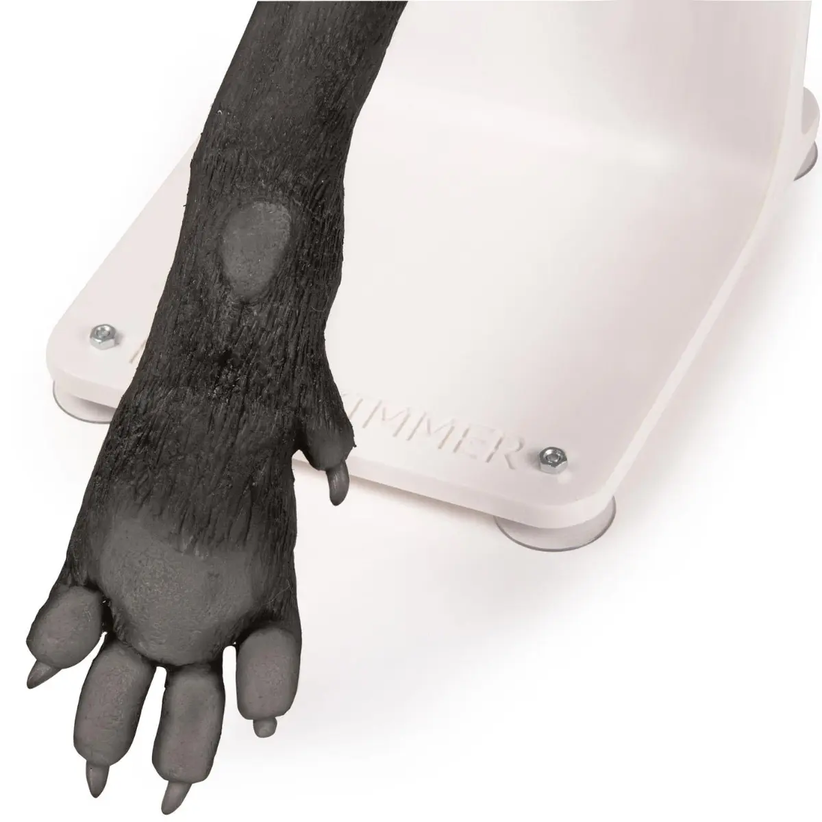 Bandaging trainer – dog paw Bandaging trainer – dog paw