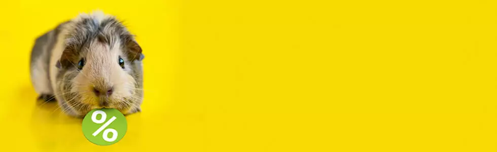 Kategoriebanner Staffelpreise Mehrscheinweichen 980x300 Kategoriebanner Staffelpreise Mehrscheinweichen 980x300