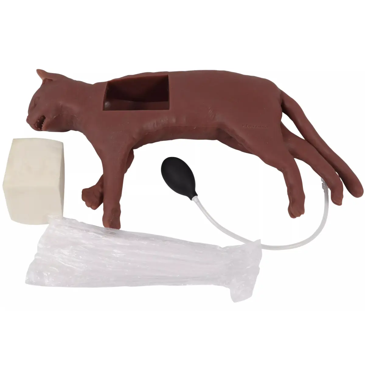 “CaPpeR” feline CPR training manikin “CaPpeR” feline CPR training manikin