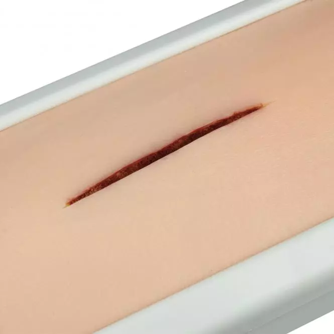  Skin suture trainer as pad