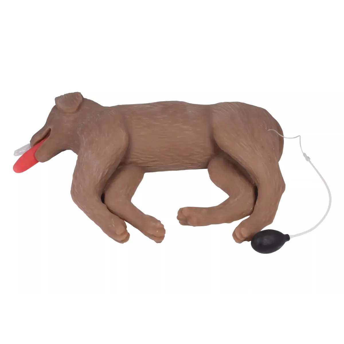  “CooPeR” canine CPR training manikin
